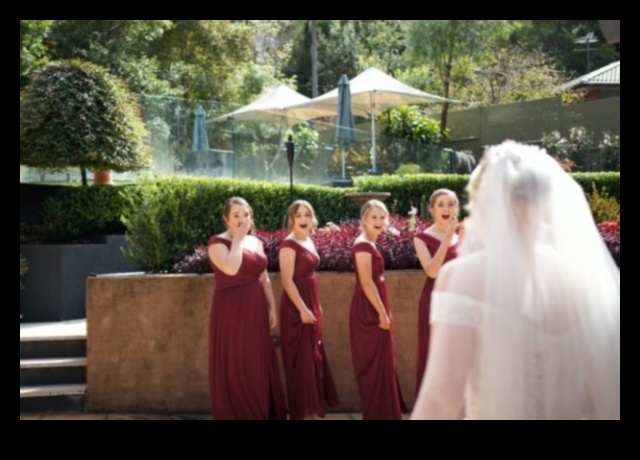 חשיפת אלגנטיות: תכנון חתונה מושלם