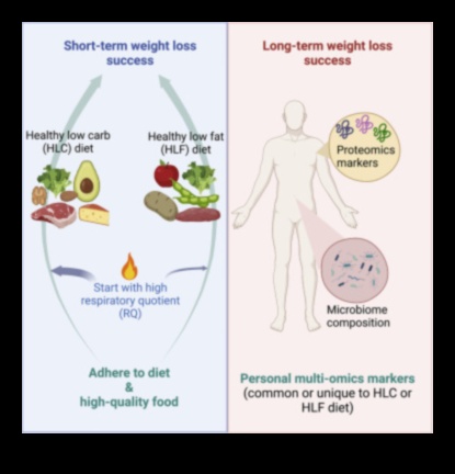 היתרונות של דיאטות ופעילות גופנית לטווח קצר 5 דיאטות ופעילות גופנית לטווח קצר: מציאת האיזון הנכון