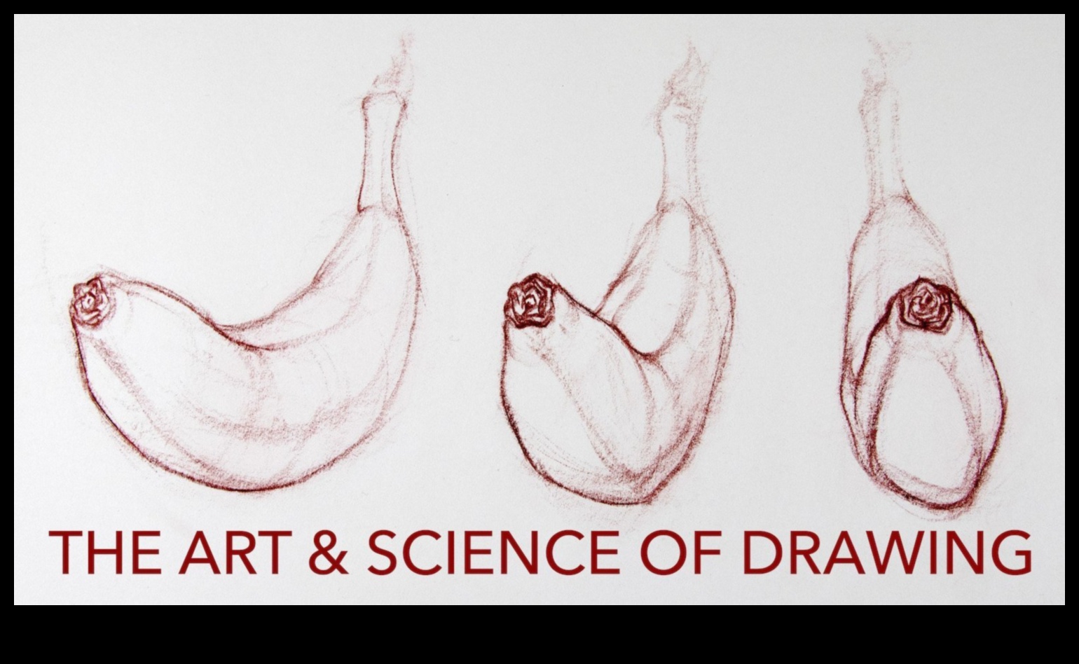 אמנות ההסבר יצירת בהירות בציורים מדעיים 5 אמנות ההסבר: יצירת בהירות ברישומים מדעיים