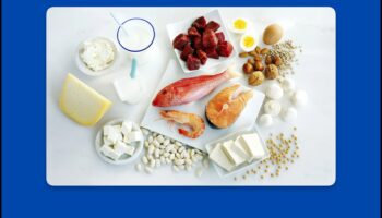 מיתוסים נפוצים על דיאטות עתירות חלבון: הופרכו!