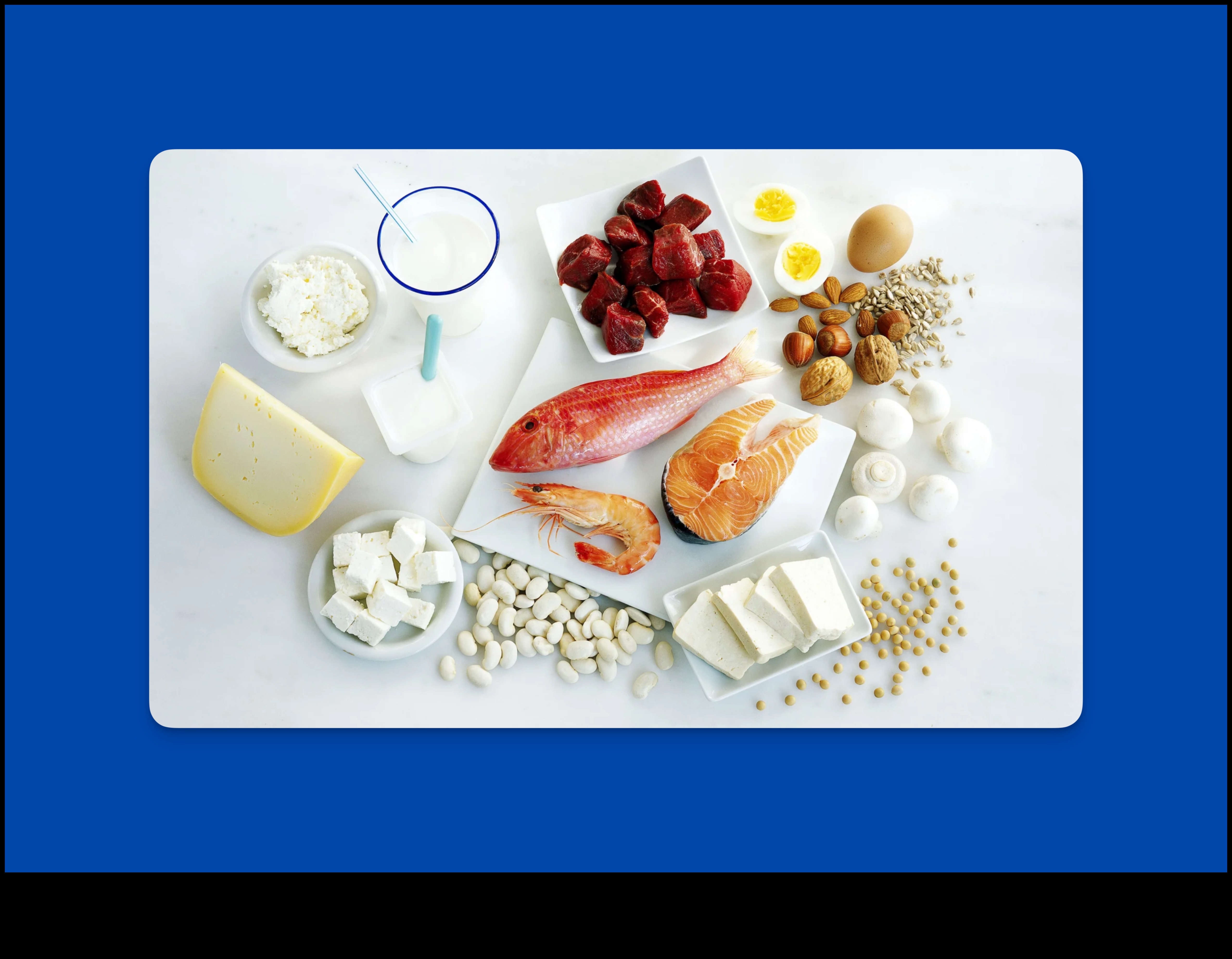 מיתוסים נפוצים על דיאטות עתירות חלבון: הופרכו!