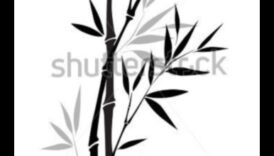 נבכי הדיו: יצירת אמנות קו מפורטת