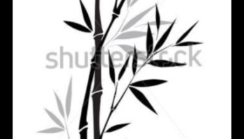 נבכי הדיו: יצירת אמנות קו מפורטת