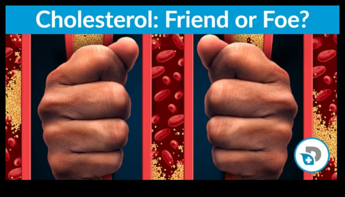 ההשפעה של דיאטות דלות פחמימות על רמות הכולסטרול