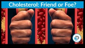 דיאטות דלות פחמימות חבר או אויב לכולסטרול 2 ההשפעה של דיאטות דלות פחמימות על רמות הכולסטרול