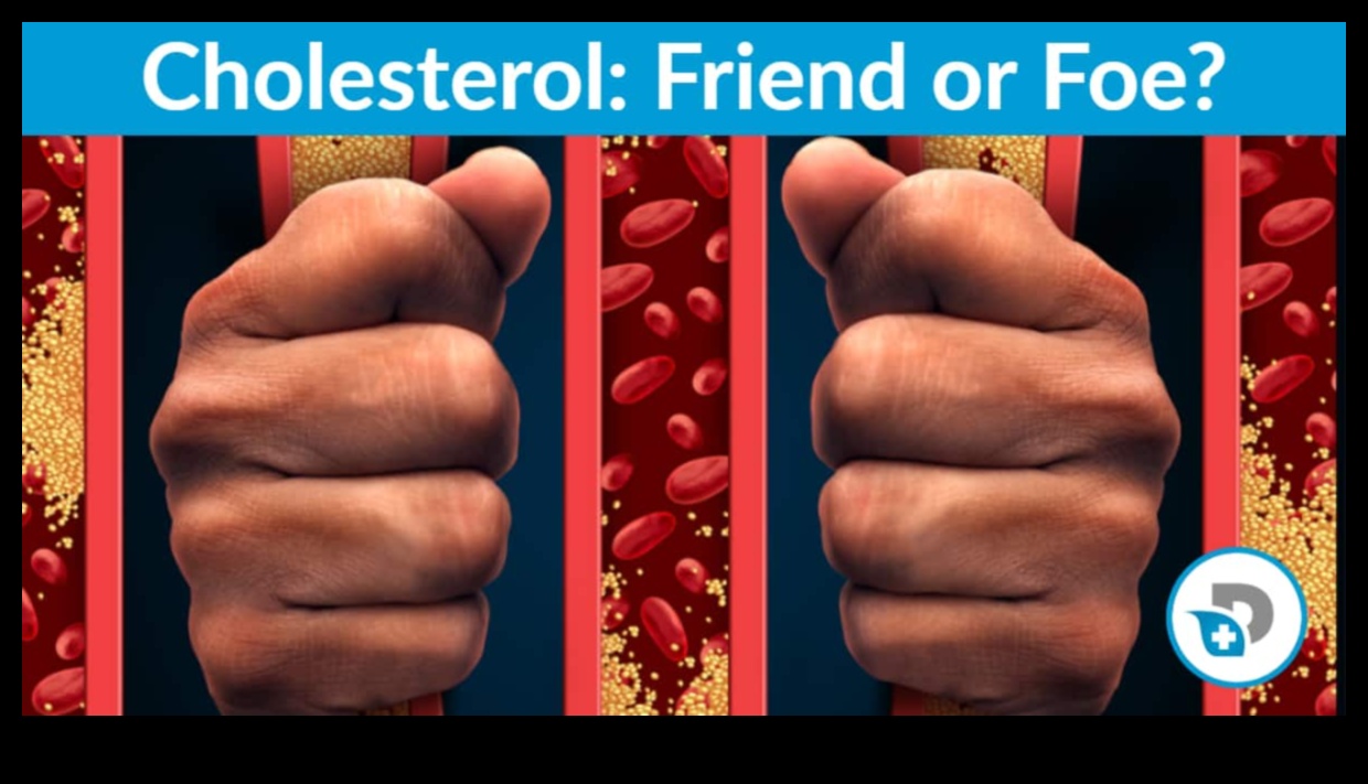 ההשפעה של דיאטות דלות פחמימות על רמות הכולסטרול