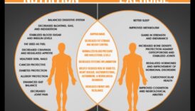 כמה יתרונות נהדרים של דיאטות ופעילות פיזית לטווח תקציר 6 דיאטות ופעילות גופנית לטווח קצר: מציאת האיזון הנכון