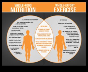 דיאטות ופעילות גופנית לטווח קצר: מציאת האיזון הנכון