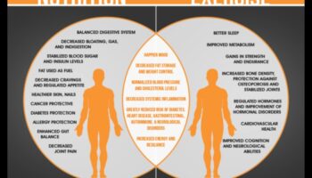 דיאטות ופעילות גופנית לטווח קצר: מציאת האיזון הנכון