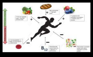 טבעונות וביצועים אתלטיים: סיפורים של ספורטאים המונעים על ידי צמחים