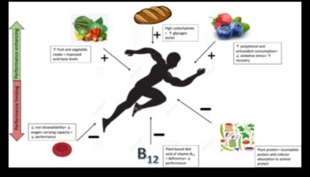 טבעונות וביצועים אתלטיים: סיפורים של ספורטאים המונעים על ידי צמחים