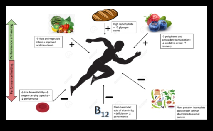 טבעונות וביצועים אתלטיים: סיפורים של ספורטאים המונעים על ידי צמחים