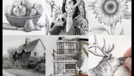 חקר אומנות דיוקן הדיו 4 שליטה בדיו: יצירת רישומים מפורטים ואקספרסיביים