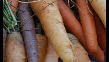 טבעונות ואכילה מודעת: להתענג על הרגע