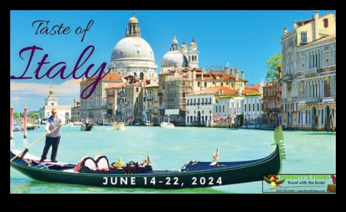 טעימה מוונציה התענגו על התענוגות האיטלקיים של קו המים 1 טעם מוונציה: תענוגות איטלקיים מהחוף